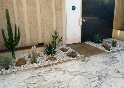 Création de jardin cactus et succulente, entrée de résidence